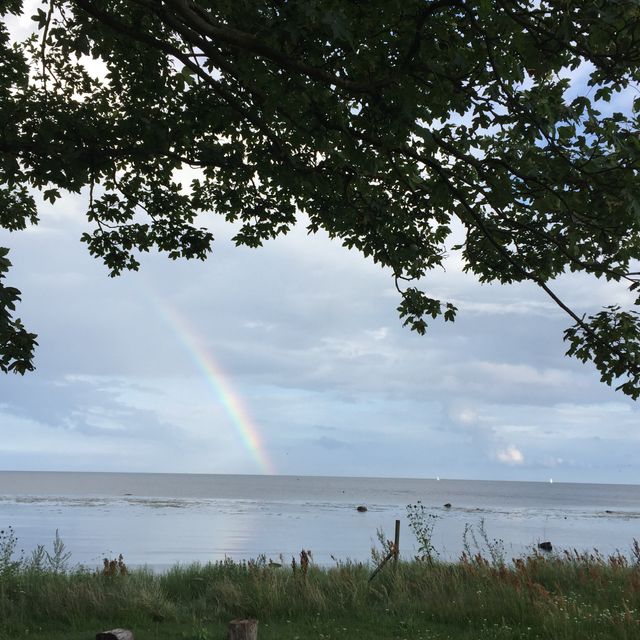 Havsutsikt med regnbåge